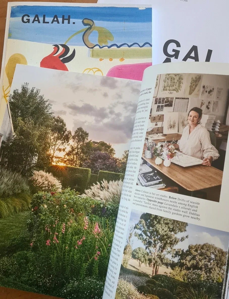 A feature in Galah