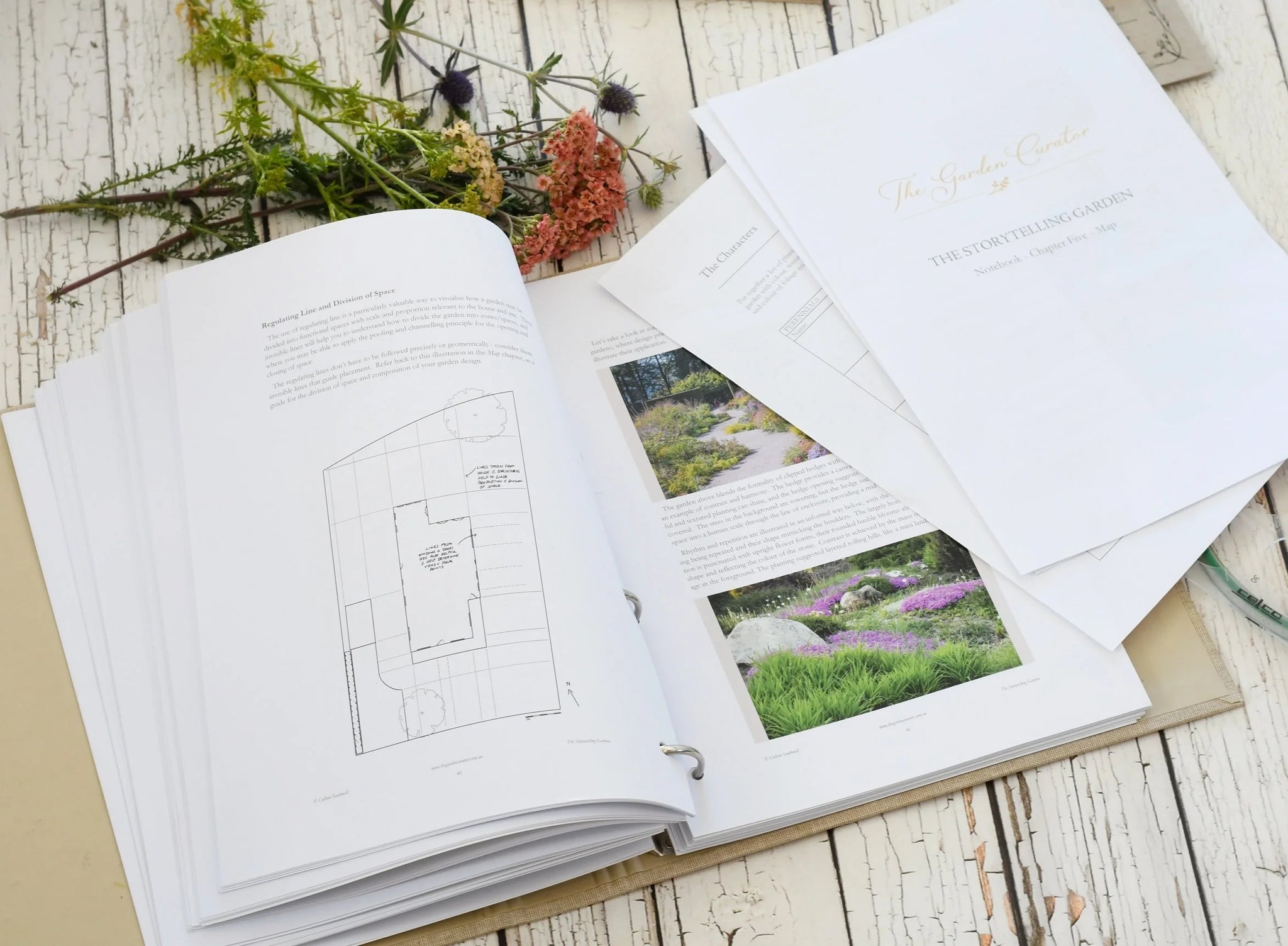The Artful Garden - Seedling
