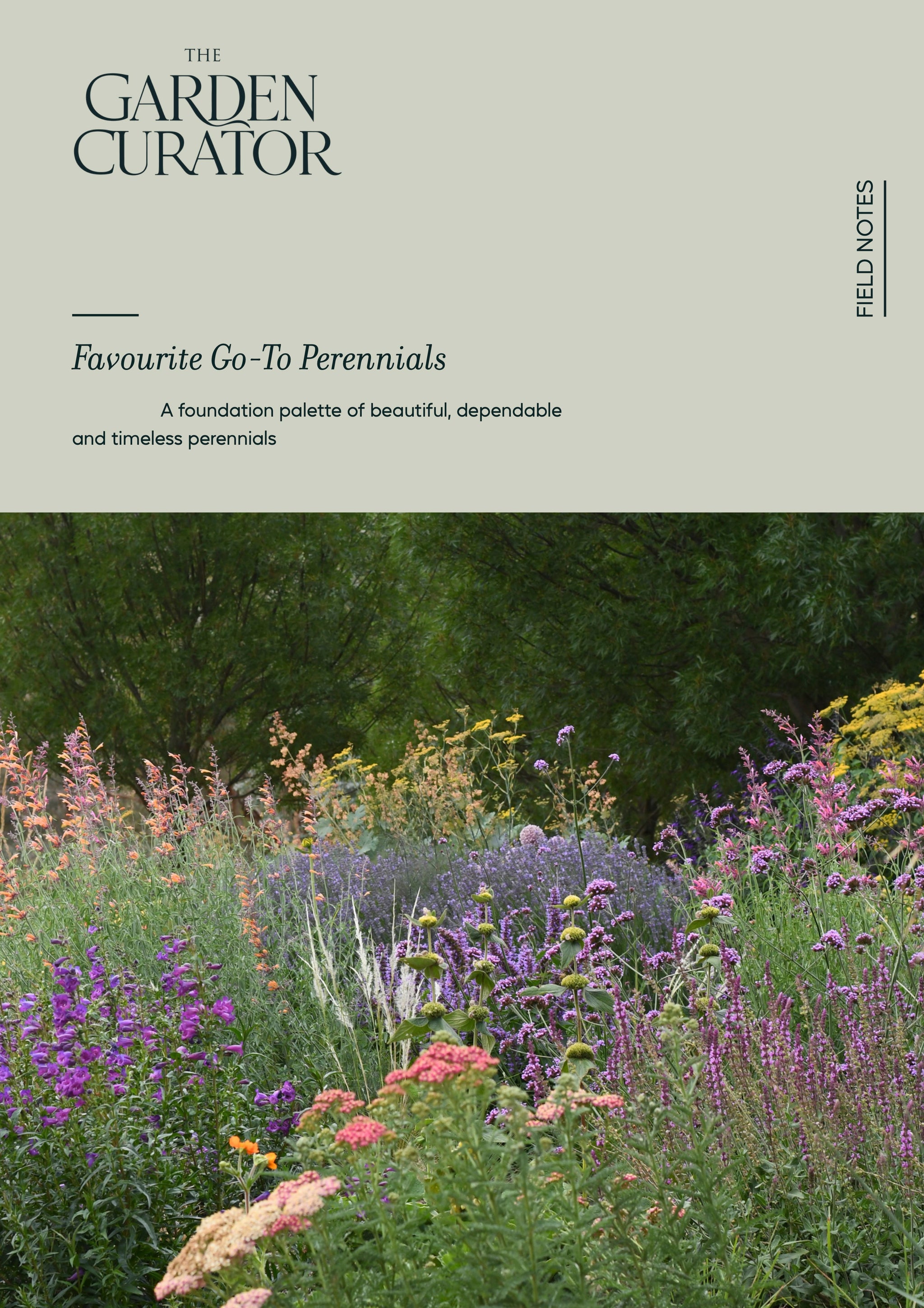 Favourite Go-To Perennials
